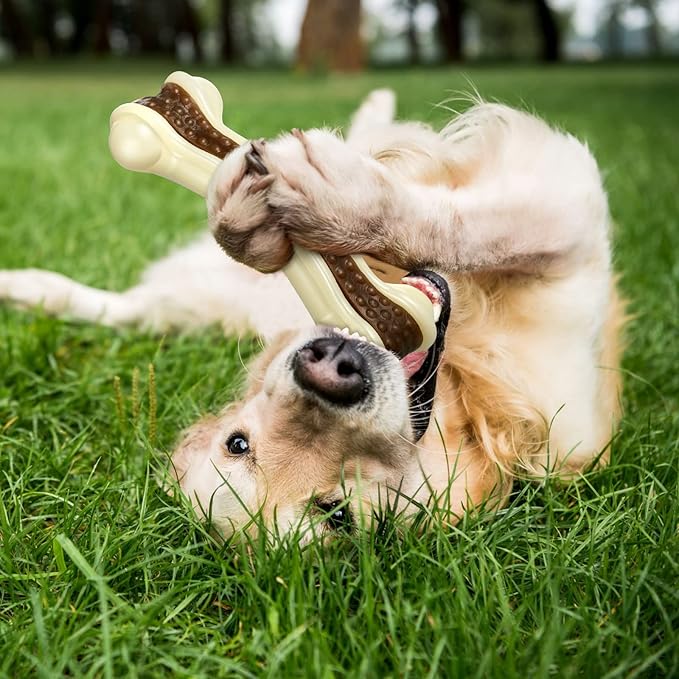 Sosation 6 Pcs Dog Toys for Aggressive Chewers Nylon Beef Flavor Bones Tough Puppy Teething Toys Puppy Chew Bones for Large Medium Small Breed Dogs Puppies Pets Chew Toys(Large Medium)