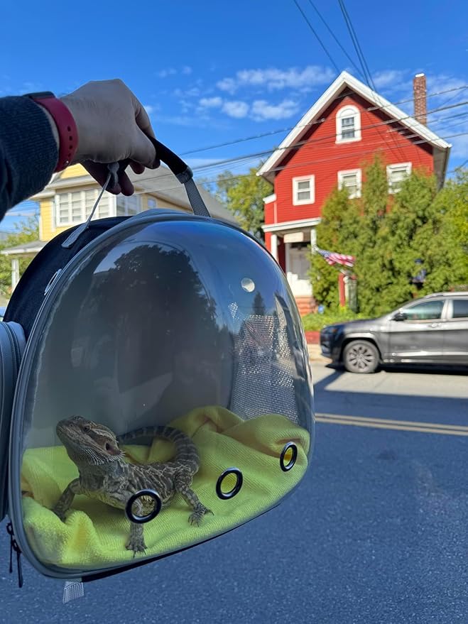 Bearded Dragon Travel Backpack with Harness and Leash Set,Lizard Backpack Travel Carrier,Space Capsule Clear Bubble Window Astronaut Reptile Carrier Backpack for Kids, Airline Approved