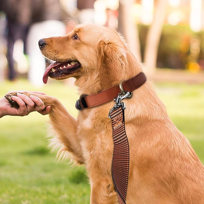 Hi Kiss Dog/Puppy Obedience Recall Training Agility Lead - 15ft 20ft 30ft 50ft 100ft Training Leash - Great for Training, Play, Camping, or Backyard(30ft,Black_Orange)