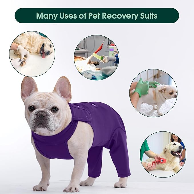 Kuoser Thigh Wound Sleeve for Dogs, Dog Recovery Sleeve for Back Legs, Pet Surgical Suit for Large Medium Small Dogs, Purple