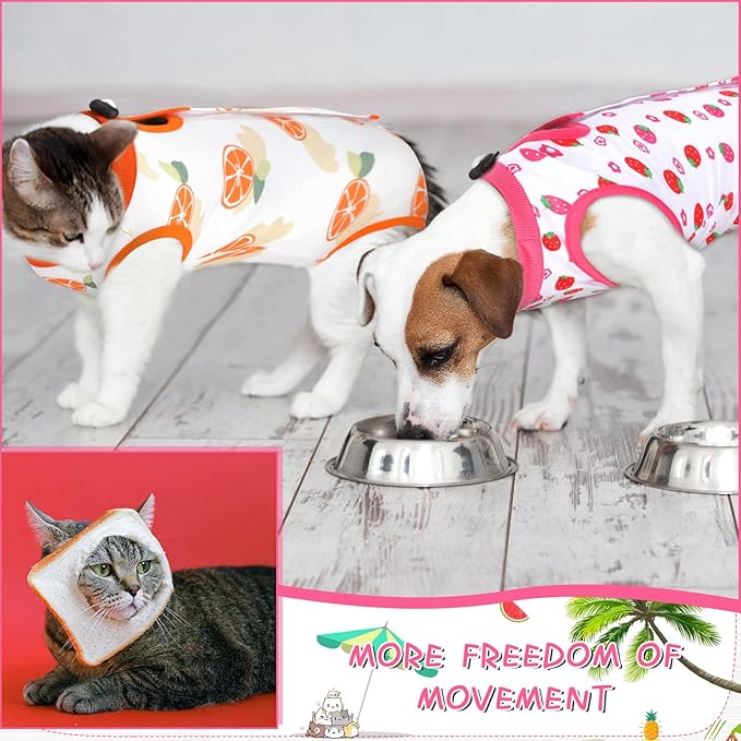 Nuanchu 3 Pieces Cat Recovery Suit Kitten Recovery Suit E-Collar Alternative for Cats and Dogs Abdominal Skin Anti Licking Pajama Clothes Sets(Fruit Pattern,Medium)