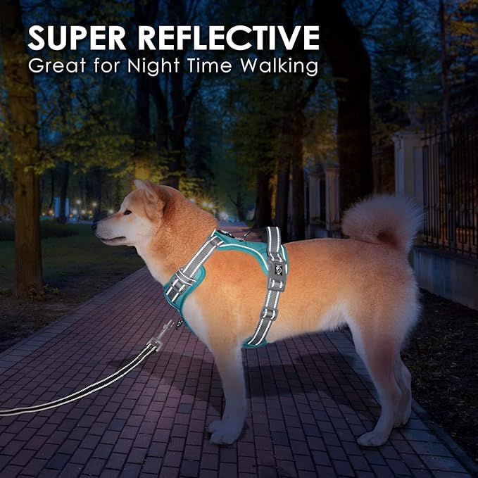 PHOEPET No Pull Dog Harness, Unique Colors Reflective Adjustable Dog Vest, with Soft Training Handle Metal Clips for Small Medium Large Dogs (Mint Green Base & Grey Straps,M)