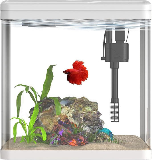 2 Gallon Glass Betta Fish Tank,Small Fish Tank with Filter and Light,Self-Cleaning Fish Tank.