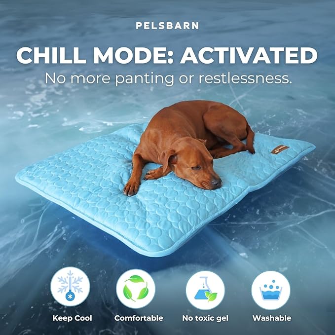 Dog Cooling Mat- Ice Silk Summer Comfort, Self Cooling, Non-Slip Dog Pad, Durable & Washable, Mat for Medium Dogs 50x65 cm, Support Shelter Dogs with Every Purchase (Blue)