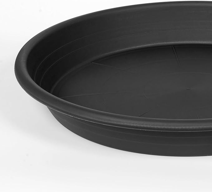 5 Pack of 14 inch Plant Saucer Plant Tray, Plastic Plant Saucer 14 inch, Heavy Duty Plant Tray for Pots, Plant Saucers for Indoors Planter, Garden Water Plate Bowls for Gallon Grow Bags (Black)