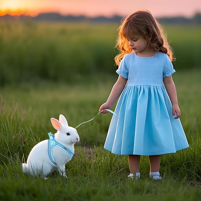 2 Pack Rabbit Harness and Leash Set, Double Buckle Bunnies Harness with Reflective Strips Soft Breathable Mesh Vest Harness for Rabbits Walks Accessories(Blue and Black)