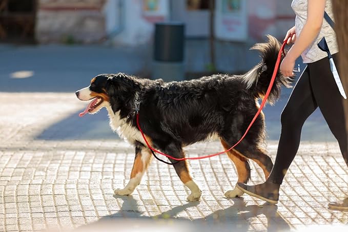 TwoEar 5FT 1IN Strong Red Dog Leash with 2 Padded Handles, Traffic Handle Extra Control, Comfortable Soft Dual Handle, Auto Lock Hook, Reflective Walking Lead for Small Medium and Large Dogs