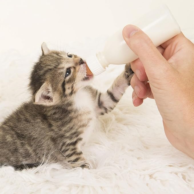 Suxgumoe Pet Feeding Bottle Set, Feeding Silicone Nipple with Bottle and Syringes, Reusable Pet Nursing Kits Feeding Tools for Rabbits, Small Animals (1 Bottle+3 Nipples+2 Syringes + 1 Measuring Cup)