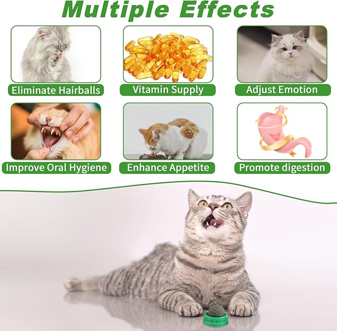 CCINEE 6PCS Catnip Balls for Cats Wall Catnip Toys Edible Cat Toys for Cat Lick Safe Healthy Kitten Chew Toys Teeth Cleaning Dental Cat Toys
