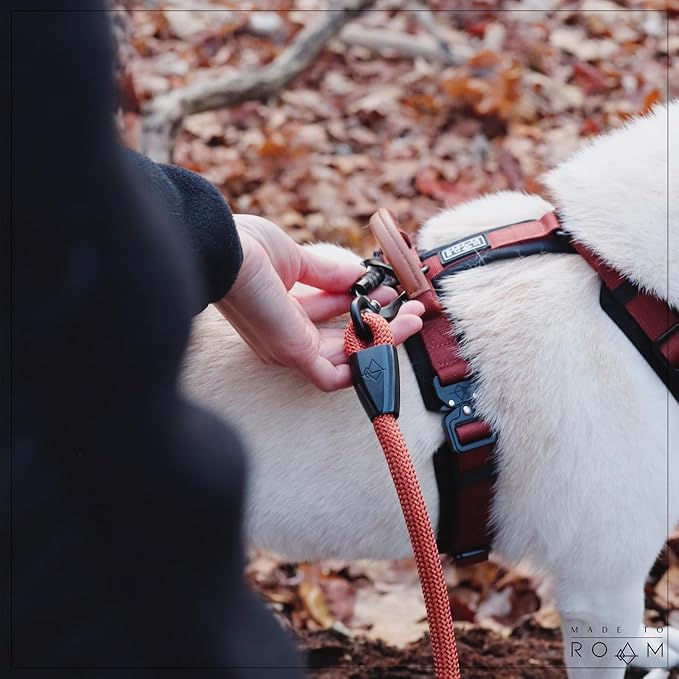 MADE TO ROAM Premium Explorer Harness - Y-Shaped Dog Harness with Adjustable Durable Nylon, Soft Padding, Metal Buckles and Leather Handle for Small, Medium, Large Dogs (Carolina Blooms, Size 6)