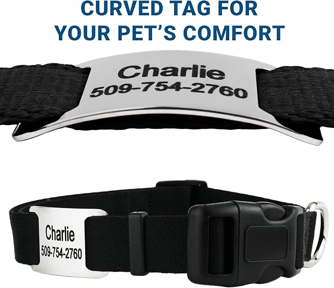 GoTags Personalized Dog Collar with Nameplate, Adjustable Dog Collar with Custom Engraved Slide On Pet ID Tag in Stainless Steel, Silent, No Noise Dog Tag (Charcoal, X-Small)