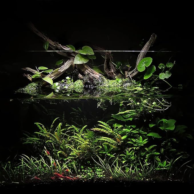 Ultum Nature Systems Controsoil - Freshwater Aqua Soil Substrate for Fish, Shrimp, Live Plant Propagation and Aquascaping - 6.8pH Low Ammonia, Volcanic Ash - Black, Fine (3 Liter | 6LB)