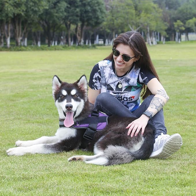 Bolux Dog Harness, No-Pull Reflective Dog Vest, Breathable Adjustable Pet Harness with Handle for Outdoor Walking - No More Pulling, Tugging or Choking (Purple, XL)