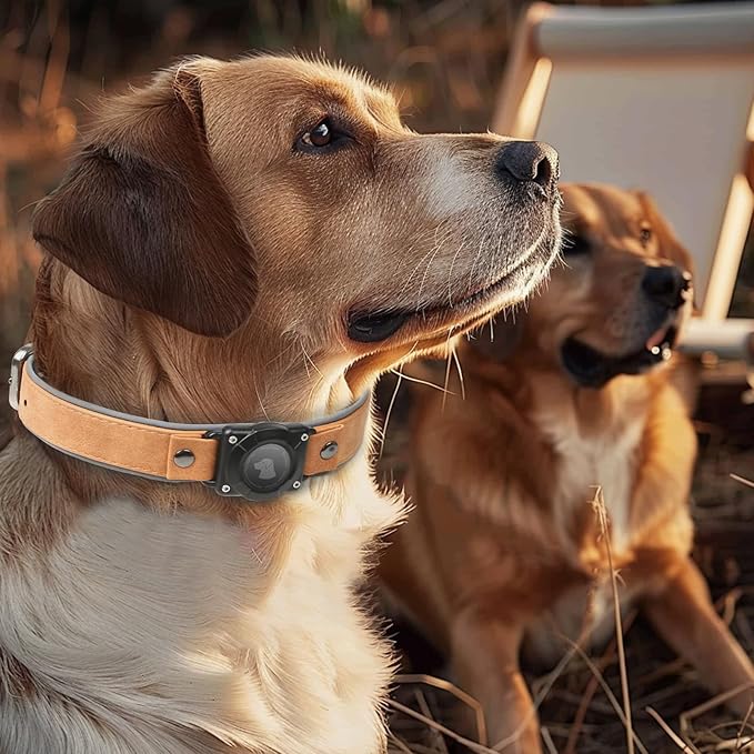AirTag Dog Collar - Leather Dog Collar with Air Tag Holder | IPX8 Waterproof, Reflective, High - End, Adjustable Soft Padded | Dog GPS Tracker Collars Fit for Medium Large Dogs (Light Brown, L)