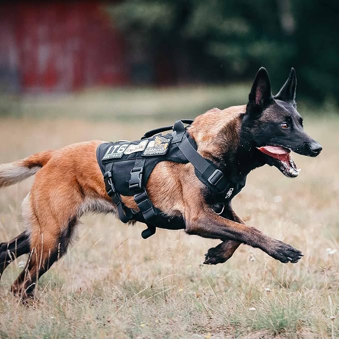 OneTigris No Pull Tactical Dog Harness for Medium Dog, Aire Mesh Dog Vest Harness, Breathable Military Dogs Molle Vests with Handles, Service Dogs Vest for Walking Hiking Training (M, Black)