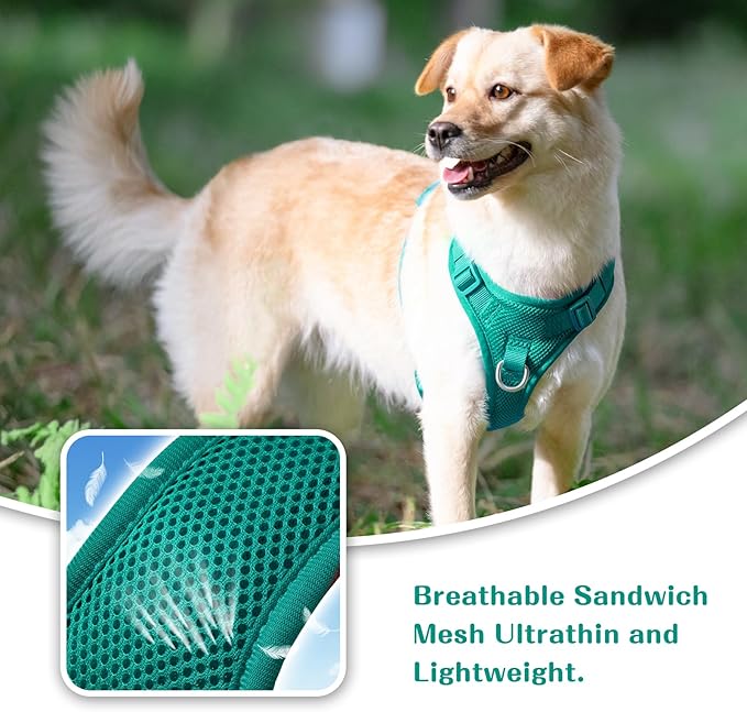 No Pull Dog Harness for Small Medium Large Dogs - Adjustable Two-Layer Mesh Dog Vest with Dual Clip, Escape Proof, Quick Release, Lightweight Breathable Mesh for Walking Hiking (MARRS Green,L)