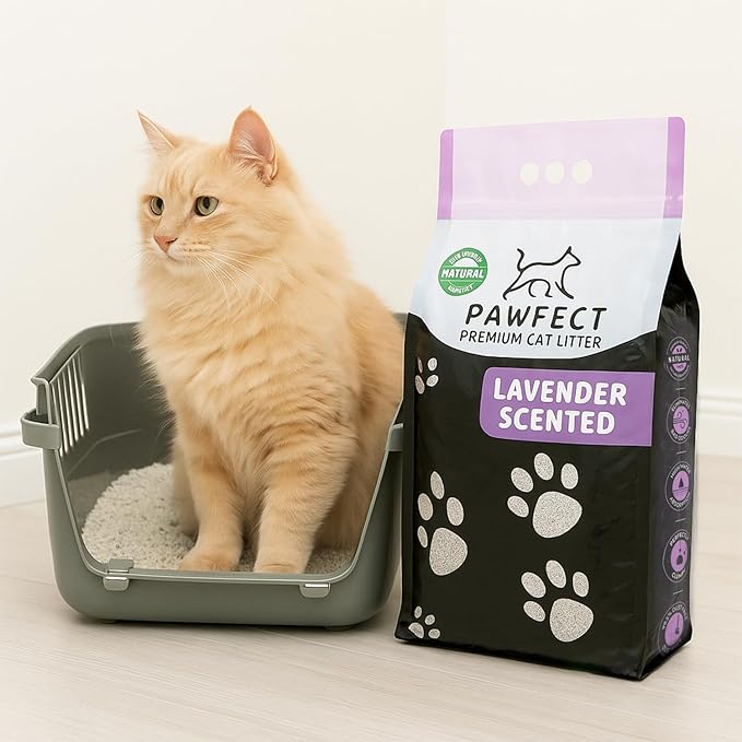 Lavender Scented Clumping Cat Litter – 9.6 lb / 5L, Lightweight, Dust-Free, Strong Odor Control, Turkish White Bentonite