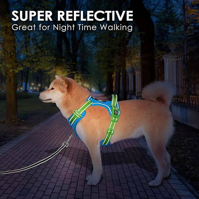 PHOEPET No Pull Dog Harness, Unique Colors Reflective Adjustable Dog Vest, with Soft Training Handle Metal Clips for Small Medium Large Dogs (Blue Base & Green Straps,M)