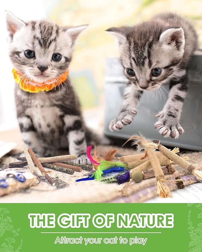 TINDTOP Silvervine Chew Sticks for Cats, 12 Pack Natural Catnip Chew Toys for Kittens Teeth Cleaning, Matatabi Dental Care, Increase Appetite, Calm Cat Anxiety and Stress, Cat Dental Toy