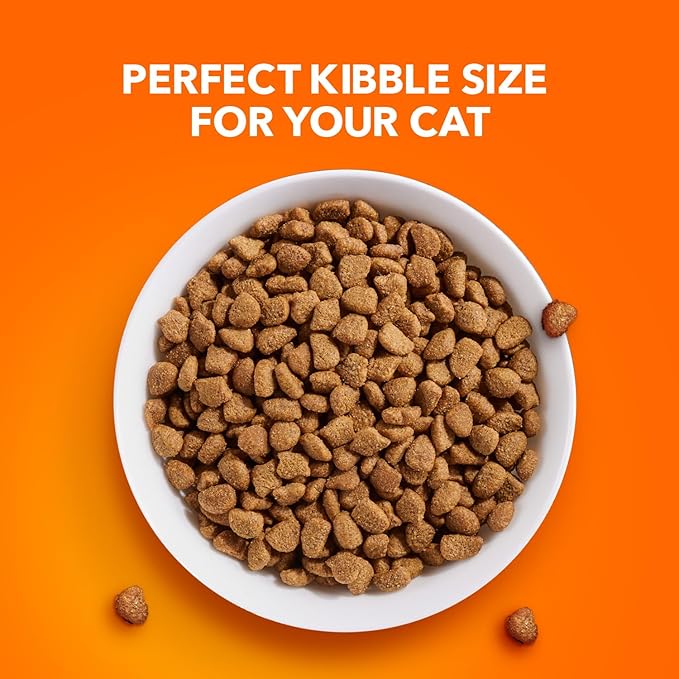 IAMS Proactive Health Indoor Weight Control & Hairball Care Adult Dry Cat Food, Chicken & Turkey Recipe, 7 lb. Bag