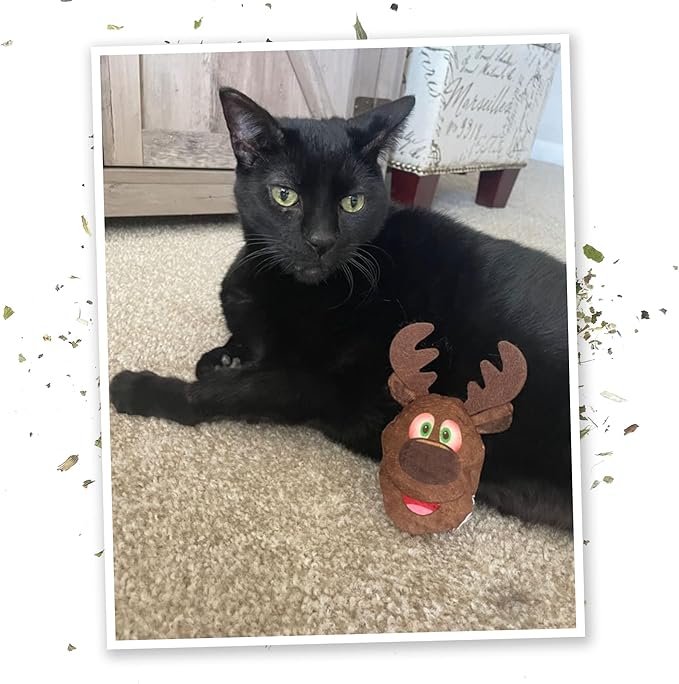 Meowijuana | Furry and Bright Bundle | Get Blitzed Reindeer and Winter Lift | Promotes Play and Cat Health | Includes Organic Catnip | Feline and Cat Lover Approved