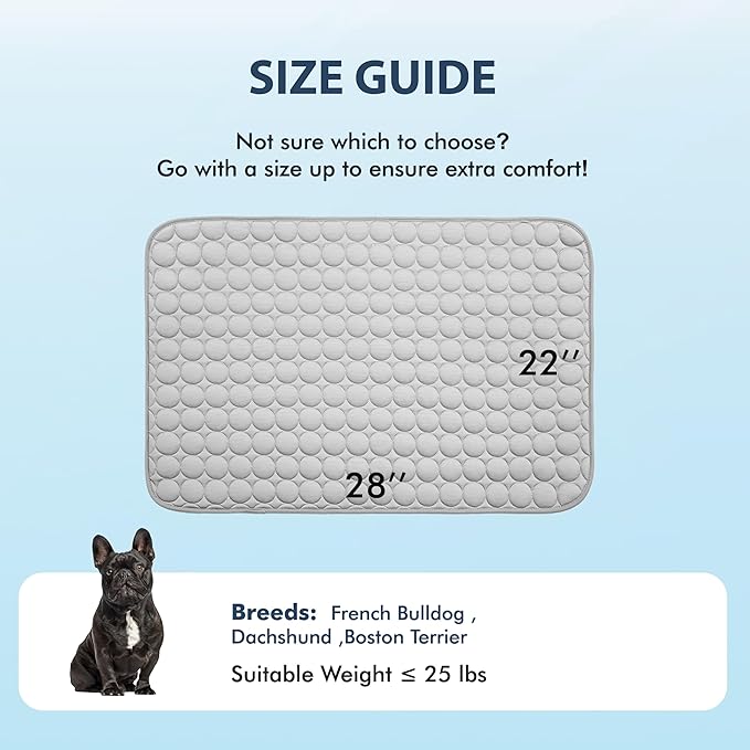 MICROCOSMOS Summer Cooling Mat & Sleeping Pad- Water Absorption Top, Easy Carry, EZ Clean, Materials Safe. Keep Cooling for Pets, Kids and Adults.(Grey, 28" x 22") Gray