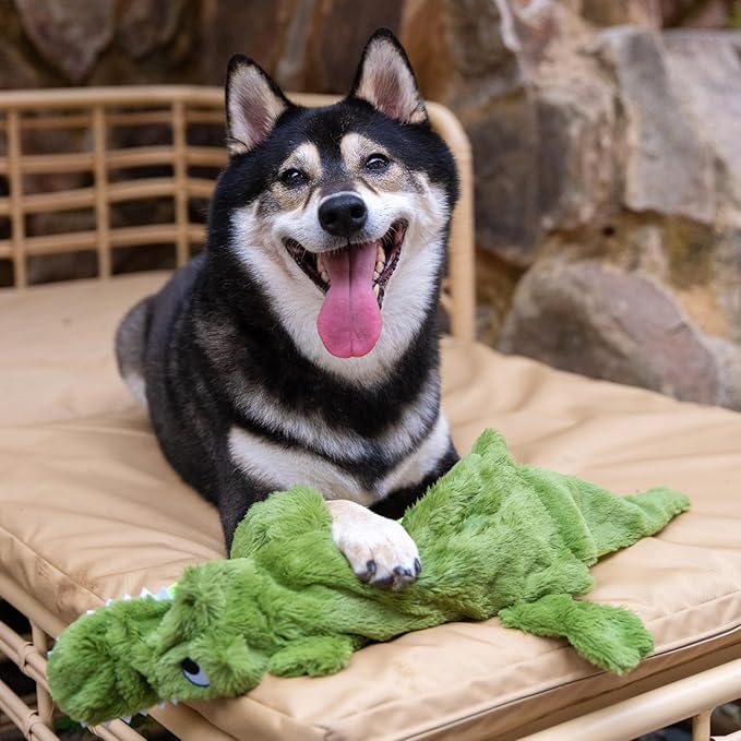 Best Pet Supplies Squeaky Dog Toys with Soft Durable Fabric for Small, Medium and Large Pets Interactive Toy for Indoor Play, Supports Active Biting and Play - Alligator, Large