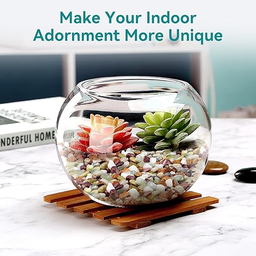 5lbs Pebbles for Indoor Plants, 3/8 Inch Small Rocks for Potted Plants, Succulents, Vase Fillers, Cactus Planters, Bird Bath, Fountain, Outdoor Garden Landscaping