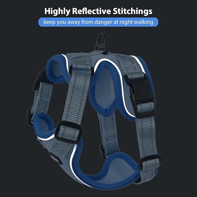 Rttochfy Cat Harness and Leash Set, Adjustable and Reflective Cat Vest, Escape Proof Kitten Harness, Easy to Put on with 3 Buckles for Cats Walking and Traveling (Blue, M)