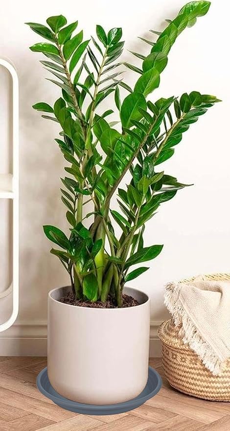 2 Pack of 19 inch Plant Saucer, Large Plant Tray, Heavy Sturdy Plant Drainage Tray for Indoors, Bird Bath Bowls, Sturdy 18 inch Plastic Pot Tray for Planter (Gray)