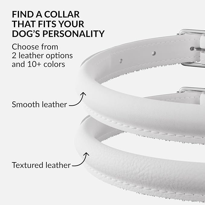 CollarDirect Rolled Leather Dog Collar, Soft Padded Round Puppy Collar, Handmade Genuine Leather Collar Dog Small Large Cat Collars 13 Colors (15-19 Inch, White Smooth)