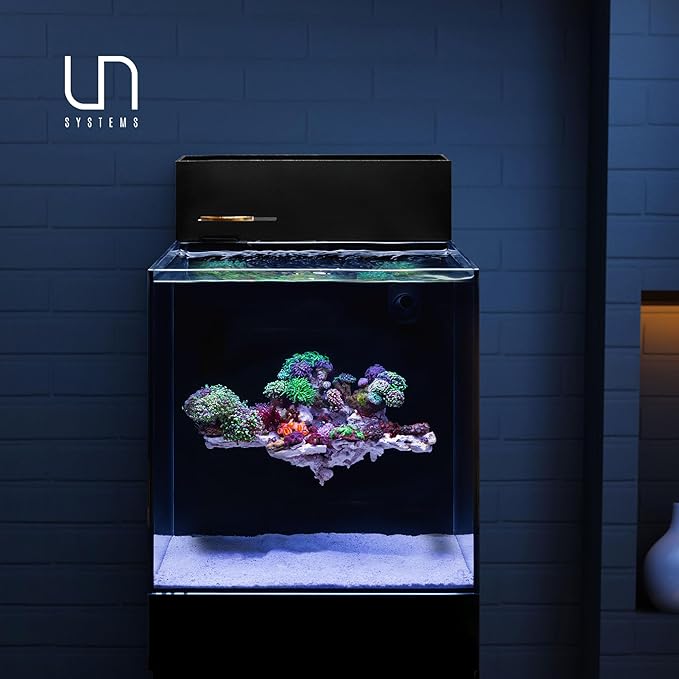 Ultum Nature Systems Dual AIO - Freshwater/Saltwater Compatible All in One Rimless Tank with Triple Chamber Filtration System, Integrated Filter Aquarium w/Leveling Mat - 11 Gallon, 35A, Black