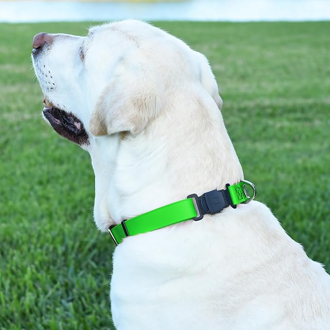 Dogline Biothane Waterproof Dog Collar with Herm Sprenger Black Stainless Steel Quick Release Buckle – Heavy Duty Tactical Durable Collar for Dogs – Comfortable and Safe Pet Collar W3/4" L12-19 Green