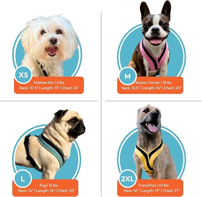 Gooby Comfort X One Dog Harness - Head-in Dog Harness for Small & Medium Sized Dogs - Escape-Free & Choke Free - Breathable Mesh, Shock Absorbing, Easy Snap & Swivel Buckles - Atlanta Peach, 2X-Small