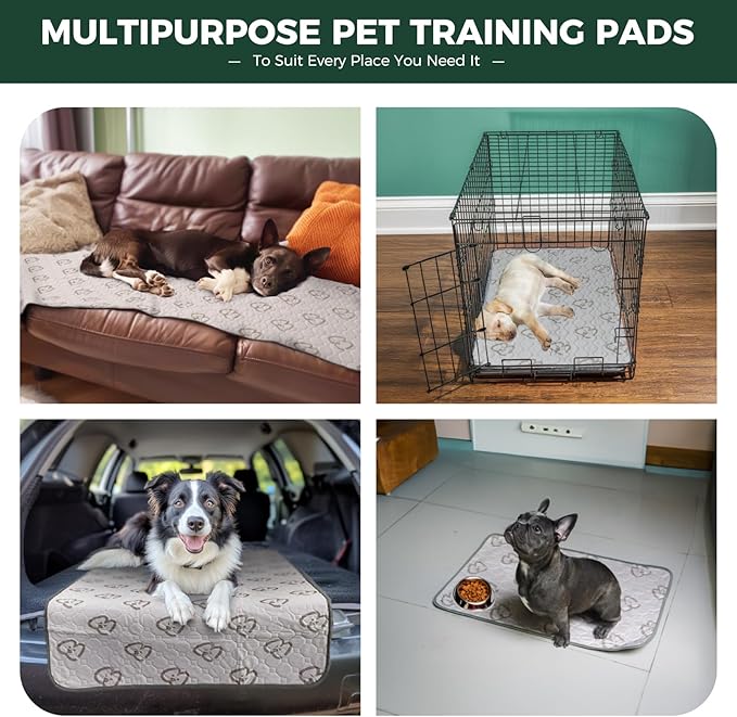 FXW Washable Pee Pads for Dogs, Puppy Pads with Super Absorbent, Specifically Designed for 36inch Cages, 35" × 23" Rectangle, Khaki, 2 Packs