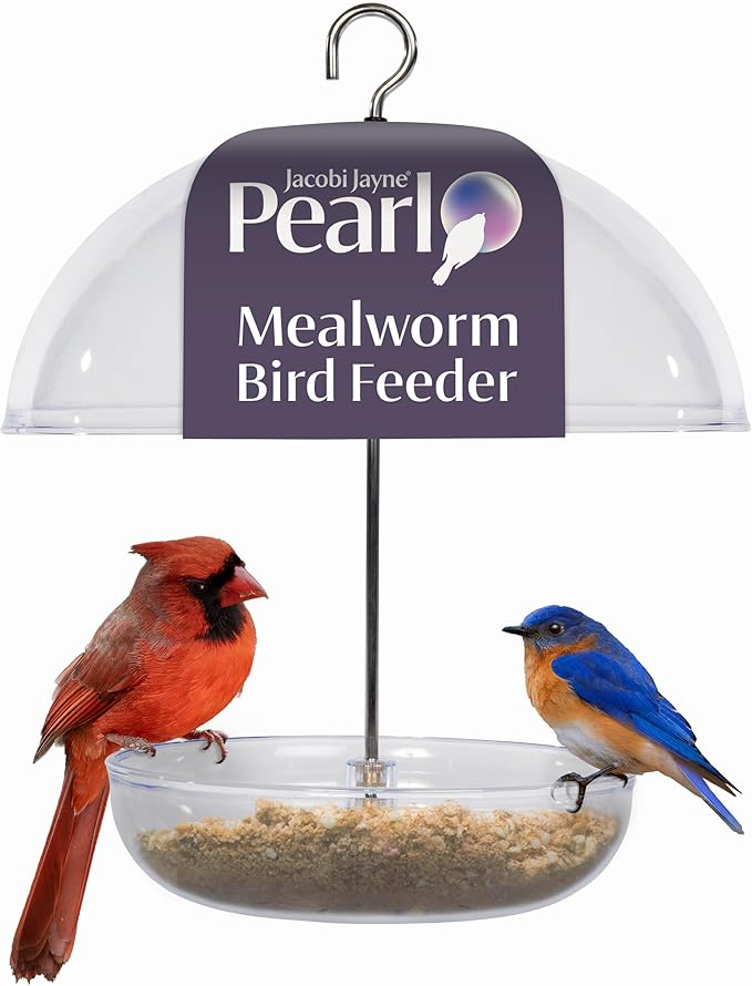 Mealworm Feeder - Jacobi Jayne® Pearl Feeder - Dome Bird Feeder for Small Birds - Bluebird Feeder for Mealworms - Platform Bird Feeder with Dome Cover - Covered Mealworm Feeder - Attracts Blue Birds
