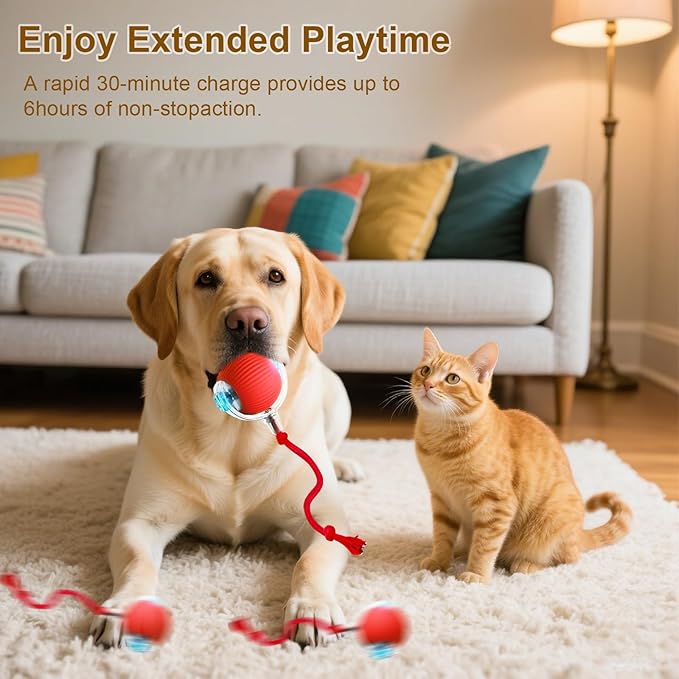 Interactive Cat Toy, 2025 New Interactive Rolling CatsToy Balls 360° Smart Automatic Rolling Pet Ball, Fast Moving Toy for Dog,Cat Ball Toy (Grey)