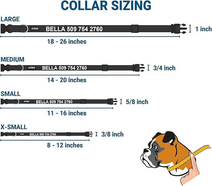 GoTags Reflective Personalized Dog Collar with Nameplate, Adjustable Dog Collar with Custom Engraved Steel Slide On Pet ID Tag, Silent, No Noise Dog Tag for Large Medium or Small (Beige, Large)