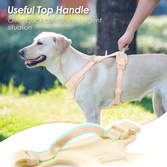 No Pull Dog Harness, Puppy Vest with Front Clip for Small Medium Large Sized Dog(Light Yellow,XL)