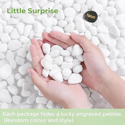 SIDONG 10 LB White River Rocks, 0.4-1.2 Inches Matte Pebbles for Indoor Plants, Aquarium Rocks Used in Fish Tank, Decorative Stones for Plants, Vases, Home DΓ©cor, Crafting, Garden Landscaping