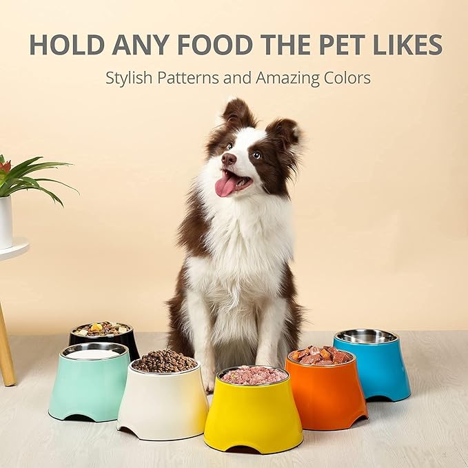 Raised Dog Bowls, Elevated Dog Bowls for Wearing Cone,Cocker Spaniel Long Ears,Neck Stress-Free,Non-Slip Stianless Steel Bowl for Small Size Dogs