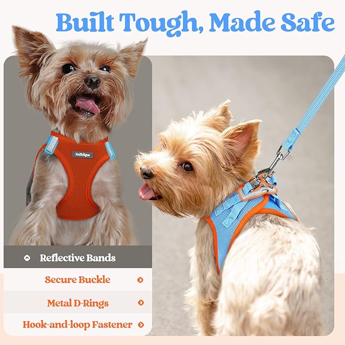 rabbitgoo Dog Harness Medium Sized and Leash Set, Step in Soft Light Puppy Vest, Breathable Mesh Pet Harness, Reflective for Safe Easy Walking, Blue & Orange XXL