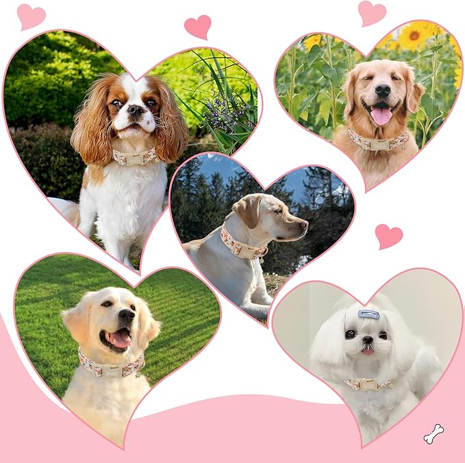 Handmade Cotton Floral Dog Collar,Blooming Pastel Roses Design Collar for Dogs, Breathable, Adjustable, Soft, and Comfortable Collars for Small Dogs, Trendy Daily Wear for Boy & Girl Puppy-M