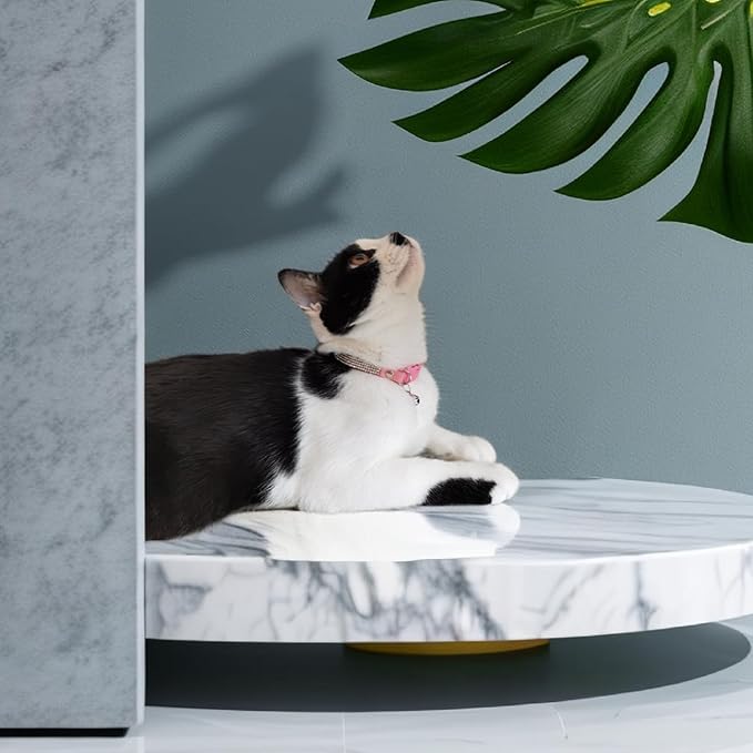 Rhinestone Cat Collar Breakaway with Bell Safety Buckle, Adjustable Diamond Girl Boy Kitty Cute Comfy Collar for Kitten Tiny Little Pets Rabbits, 6"-9" Purple Extra Small