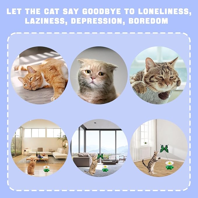 Yisquar Electric Bird & Butterfly Teasing Cat Toy 2PCS Interactive Bird Toy for Cats Interactive Cat Toys Automatic Electric Butterfly 360ยฐRotating Kitten Toys Fun Flying Birds Cats Play Chase