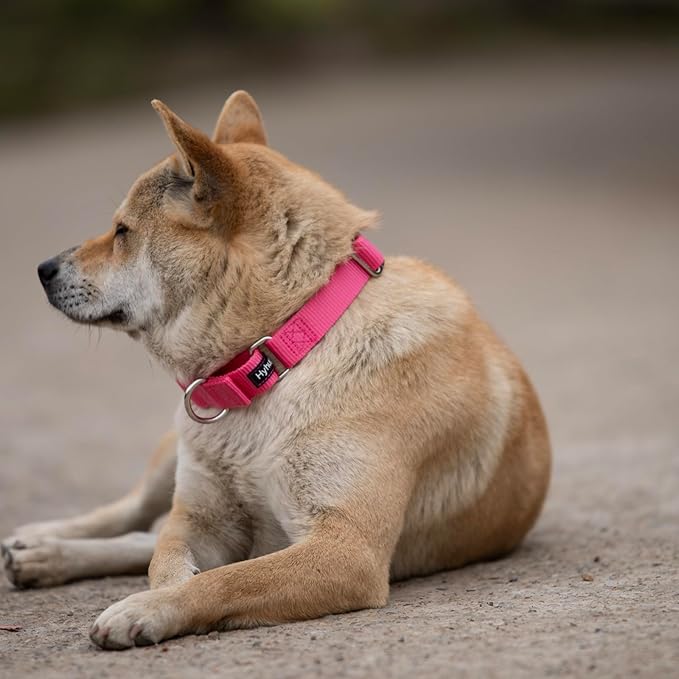 Hyhug Improved Design Nylon Webbing, Cold Water Washing Does Not Fade, Not Polluting Dog Hair, Wear Resistant and Not Prone to Fuzzing. No Slip Training Martingale Collar (Candy Pink, Medium)