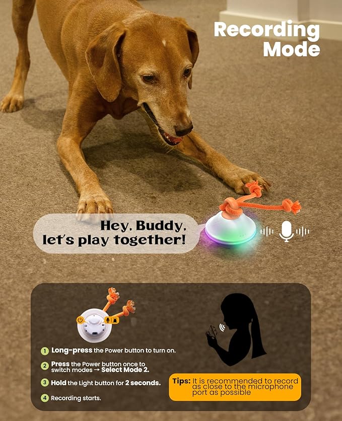 Interactive Dog Toys, Automatic Moving and Rolling LED Light Up Dogs Ball with Rope, Motion-Activated Wicked Ball for Small Medium Pup, Stimulation Toy for Boredom Relief