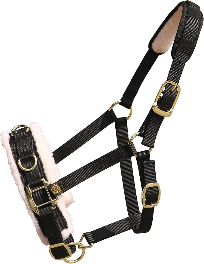 T TEKE Lunge Cavesson with Fleece Lined Nose Band and Crown