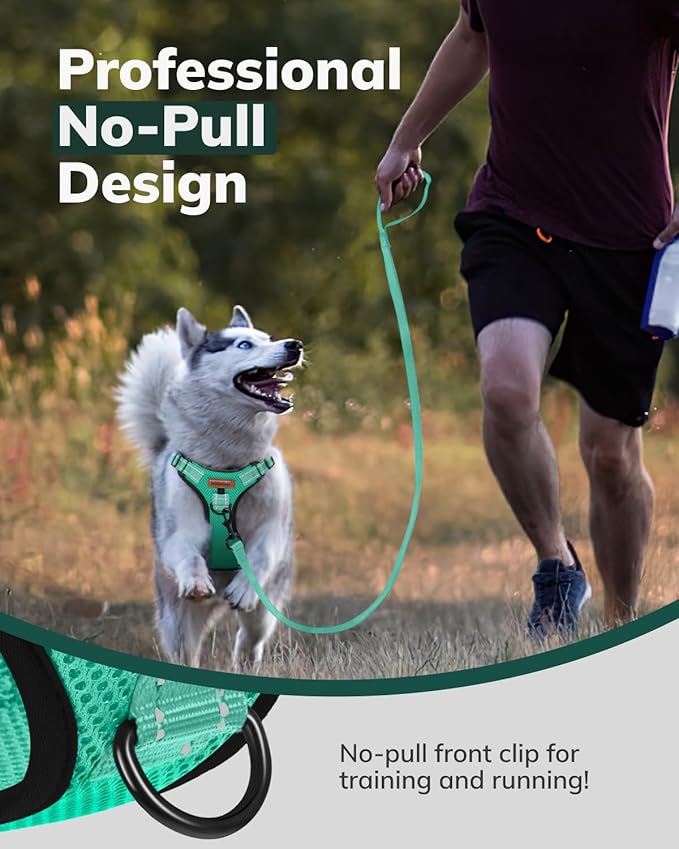 MIDOG No-Pull Dog Harness | Adjustable & Reflective Pet Harness Leash Set for Small Medium Large Dogs Walking, Training| No Choke, Front Clip, Soft Padded Vest with Easy Control Handle - Green, XL
