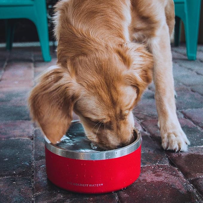 Coldest Dog Bowl - Anti Rust Metal, Non Slip, 3 Layers Insulated Stainless Steel Dog Bowls - Spill Proof & Heavy Duty - Water Bowl for Dogs, Cats & Pets, Dish Washer Safe (200 oz, Into The Beyond)